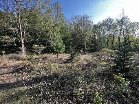 11060 Nolan Rd, Gladwin, MI 48624 photo 77