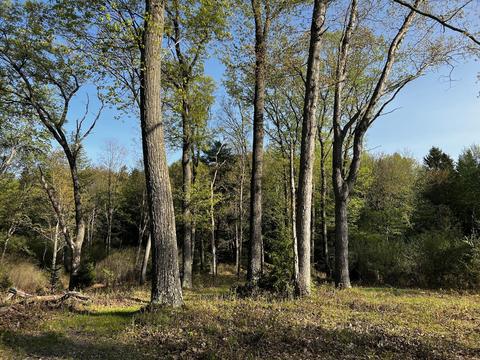 11060 Nolan Rd, Gladwin, MI 48624 photo 75