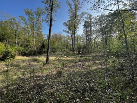 11060 Nolan Rd, Gladwin, MI 48624 photo 69