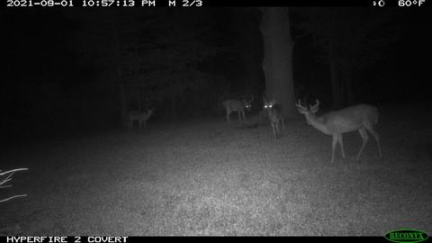 11060 Nolan Rd, Gladwin, MI 48624 photo 186