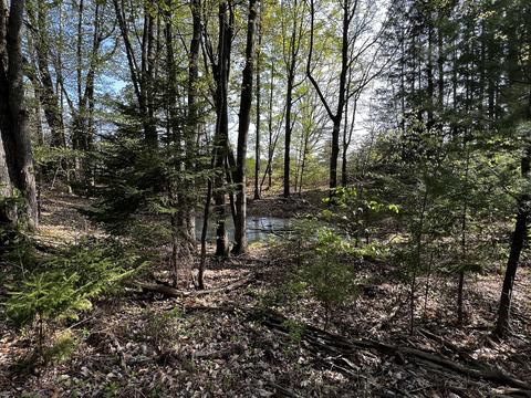 11060 Nolan Rd, Gladwin, MI 48624 photo 30
