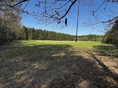 11060 Nolan Rd, Gladwin, MI 48624 photo 26