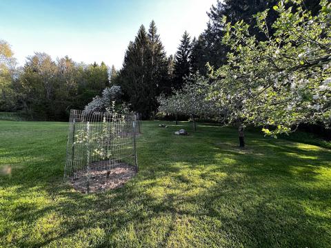 11060 Nolan Rd, Gladwin, MI 48624 photo 99