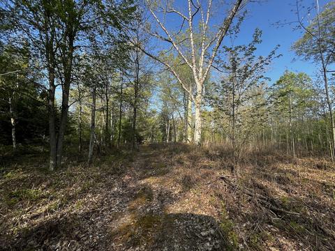 11060 Nolan Rd, Gladwin, MI 48624 photo 67