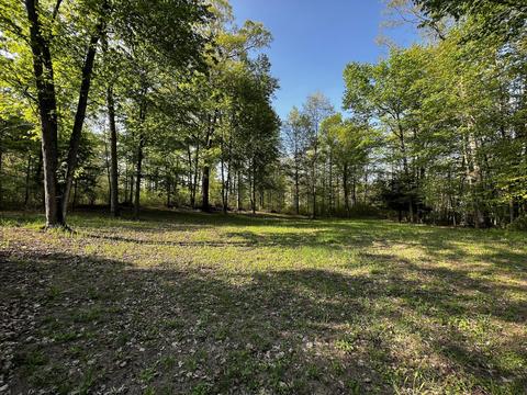 11060 Nolan Rd, Gladwin, MI 48624 photo 46