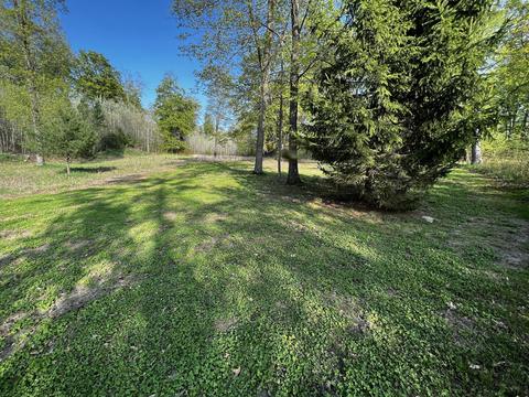 11060 Nolan Rd, Gladwin, MI 48624 photo 59