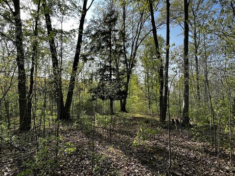 11060 Nolan Rd, Gladwin, MI 48624 photo 66