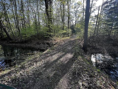 11060 Nolan Rd, Gladwin, MI 48624 photo 83