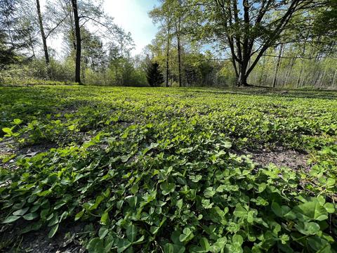 11060 Nolan Rd, Gladwin, MI 48624 photo 61