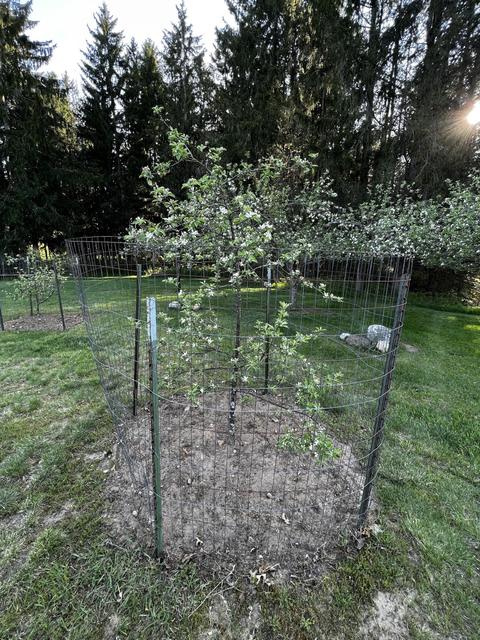 11060 Nolan Rd, Gladwin, MI 48624 photo 98