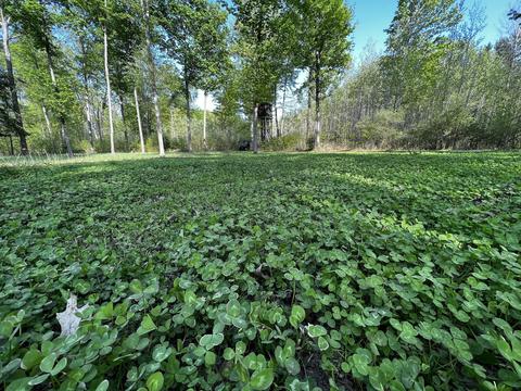 11060 Nolan Rd, Gladwin, MI 48624 photo 39