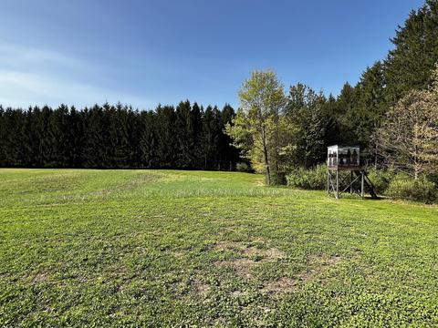 11060 Nolan Rd, Gladwin, MI 48624 photo 25