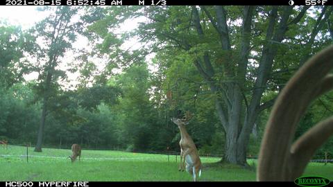 11060 Nolan Rd, Gladwin, MI 48624 photo 158