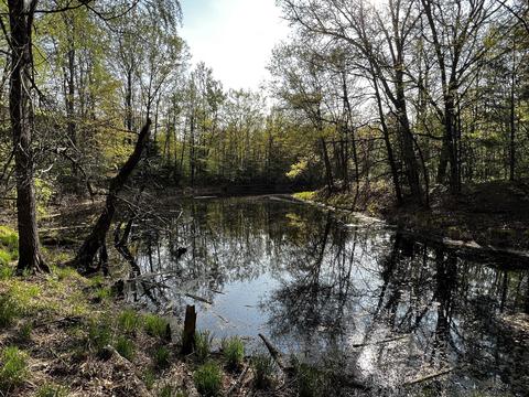 11060 Nolan Rd, Gladwin, MI 48624 photo 42