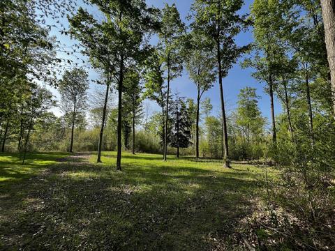 11060 Nolan Rd, Gladwin, MI 48624 photo 34