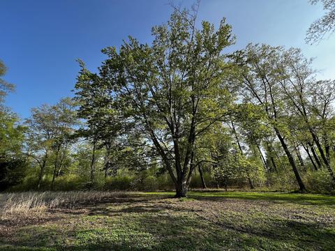11060 Nolan Rd, Gladwin, MI 48624 photo 64