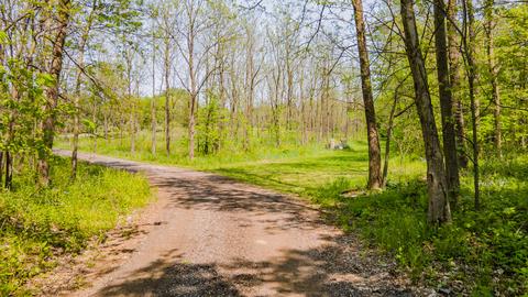 1784 S Allen Rd S, Reading, MI 49274 photo 39
