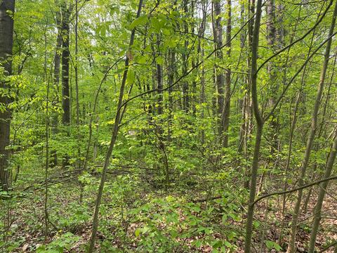 Lucerne, Reed City, MI 49677