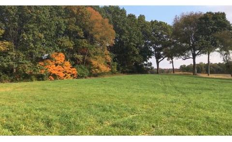 Lot 45 Leo Lane, Three Rivers, MI 49093