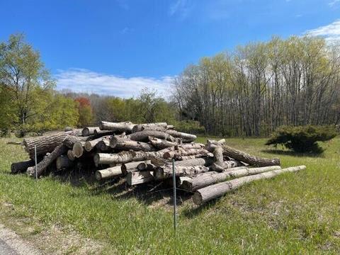 160 Acres 150th Ave, Stanwood, MI 49346