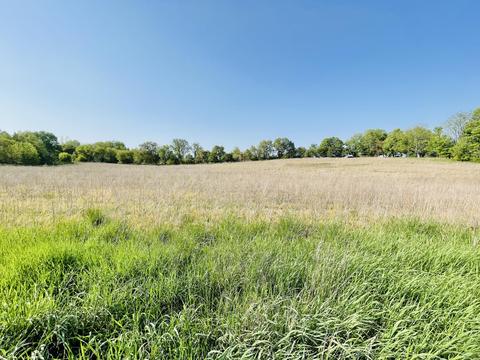 Lot 1 Clark Street, Lake Odessa, MI 48849