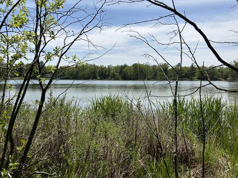 V/l Lake Drive, Idlewild, MI 49642