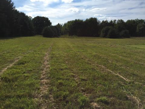 5274 Defield Rd, Coloma, MI 49038 photo 44