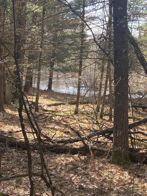 5130 N Access Rd, Irons, MI 49644 photo 17