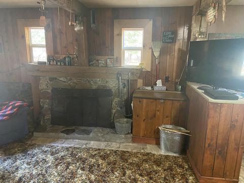 5130 N Access Rd, Irons, MI 49644 photo 4