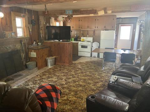 5130 N Access Rd, Irons, MI 49644 photo 6