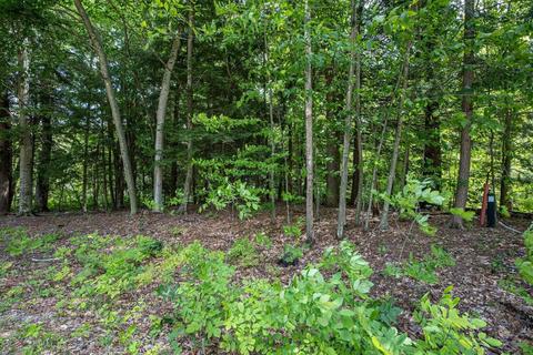 Lots 34-40 Forest Lake Drive, Big Rapids, MI 49307