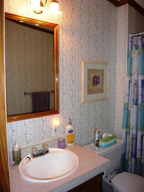 3122 Long Lake Rd, Reading, MI 49274 photo 12