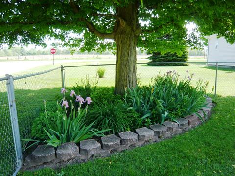 3122 Long Lake Rd, Reading, MI 49274 photo 4