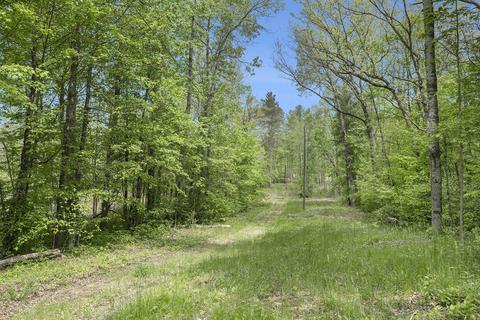 Parcel C N Amy School Road, Howard City, MI 49329