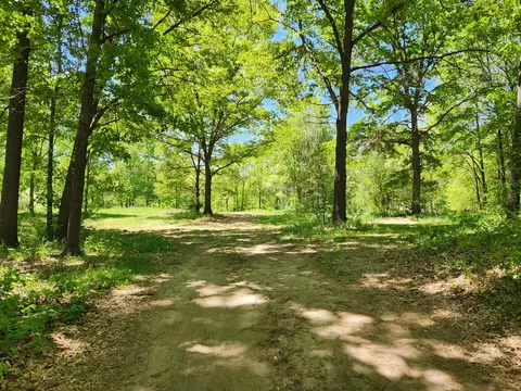 6051 Ostrum Rd, Belding, MI 48809 photo 4