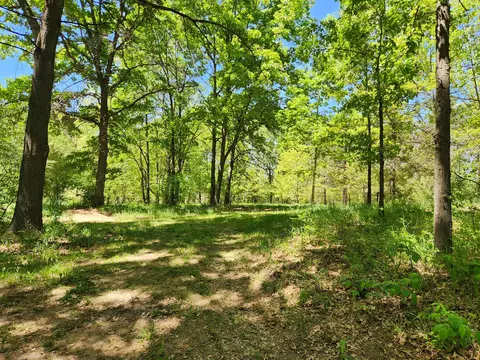 6051 Ostrum Rd, Belding, MI 48809 photo 3