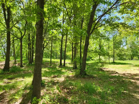 6051 Ostrum Rd, Belding, MI 48809 photo 2