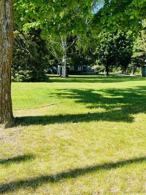111 E 3rd St, Hersey, MI 49639 photo 22