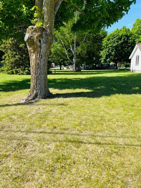 111 E 3rd St, Hersey, MI 49639 photo 20