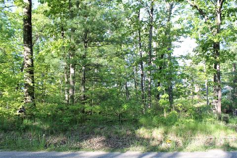 Vl S Delta Place, Idlewild, MI 49642