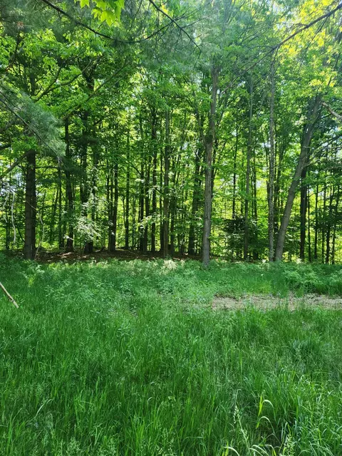 10471 E Carpenter Ln, Luther, MI 49656 photo 15