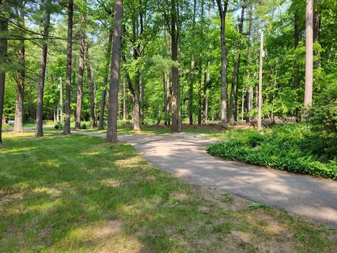 5796 E 52nd St, Newaygo, MI 49337 photo 12