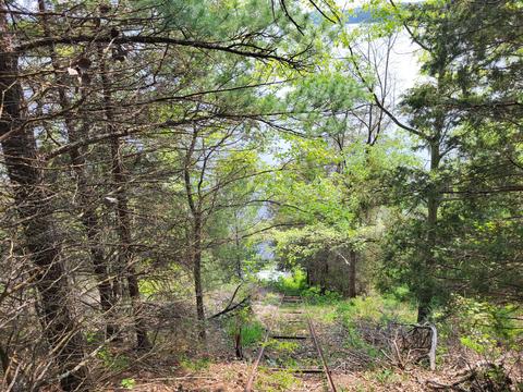 5796 E 52nd St, Newaygo, MI 49337 photo 15