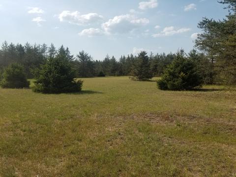00 Dusty Rd, Irons, MI 49644