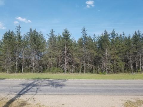 00 Dusty Rd, Irons, MI 49644 photo 3