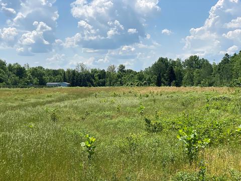 3731 Baseline Rd, Gobles, MI 49055 photo 16