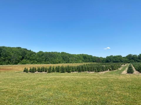 3731 Baseline Rd, Gobles, MI 49055 photo 15