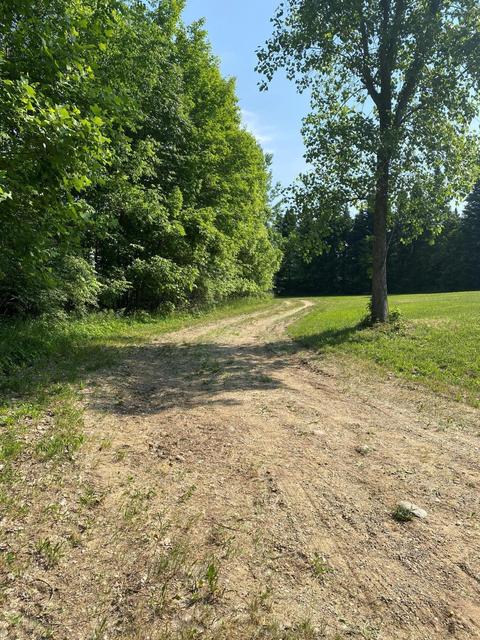 3731 Baseline Rd, Gobles, MI 49055 photo 22