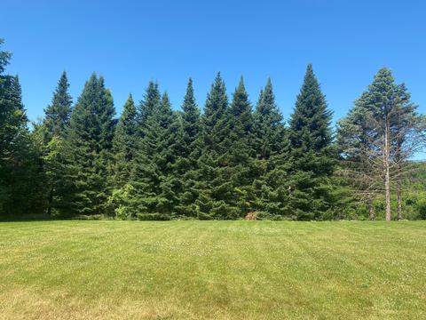 3731 Baseline Rd, Gobles, MI 49055 photo 19
