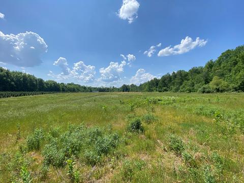 3731 Baseline Rd, Gobles, MI 49055 photo 17